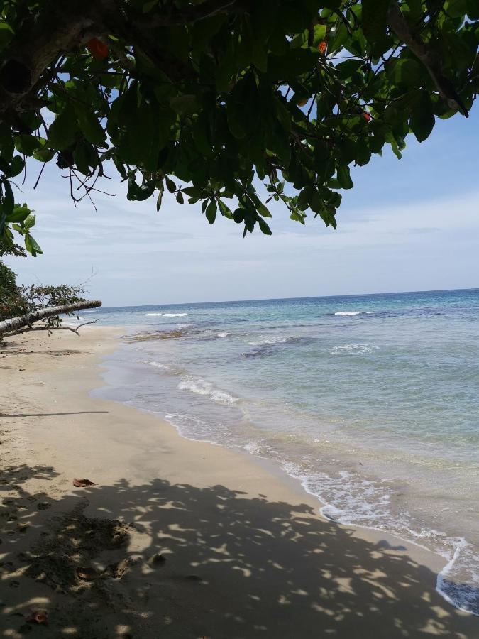 Hostal Cecilia Puerto Viejo de Talamanca المظهر الخارجي الصورة