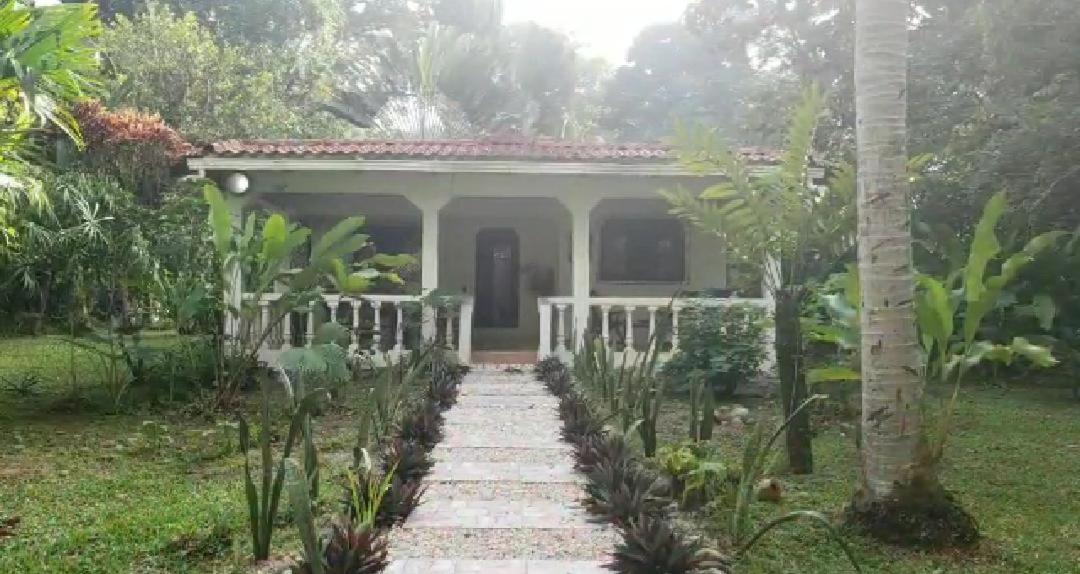 Hostal Cecilia Puerto Viejo de Talamanca المظهر الخارجي الصورة