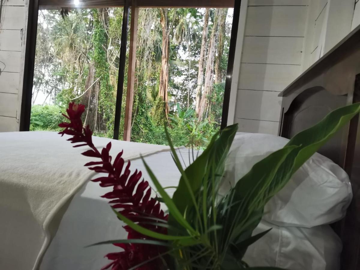 Hostal Cecilia Puerto Viejo de Talamanca المظهر الخارجي الصورة