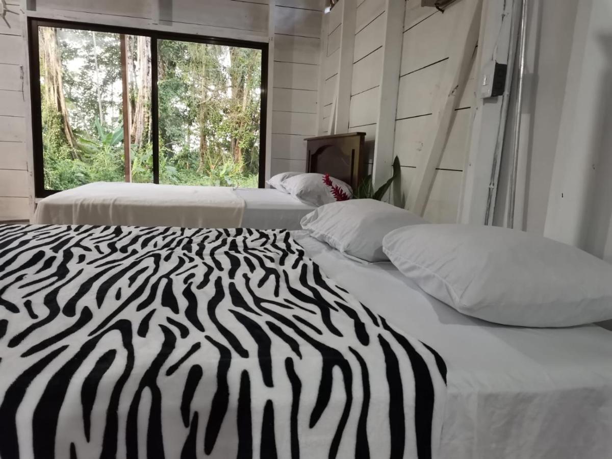 Hostal Cecilia Puerto Viejo de Talamanca المظهر الخارجي الصورة