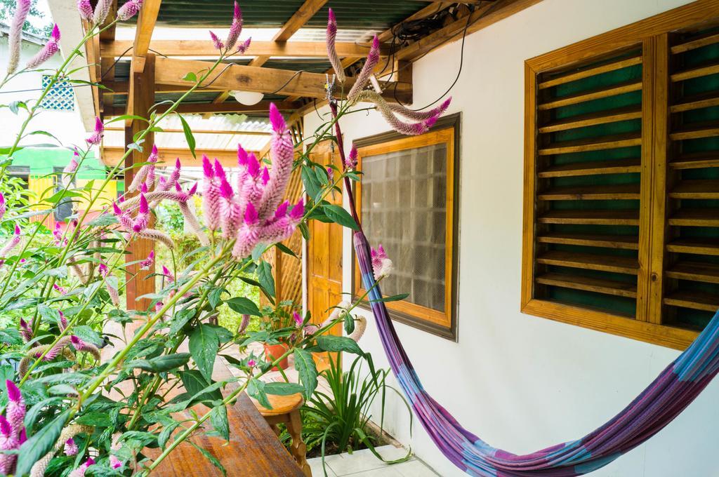 Hostal Cecilia Puerto Viejo de Talamanca المظهر الخارجي الصورة