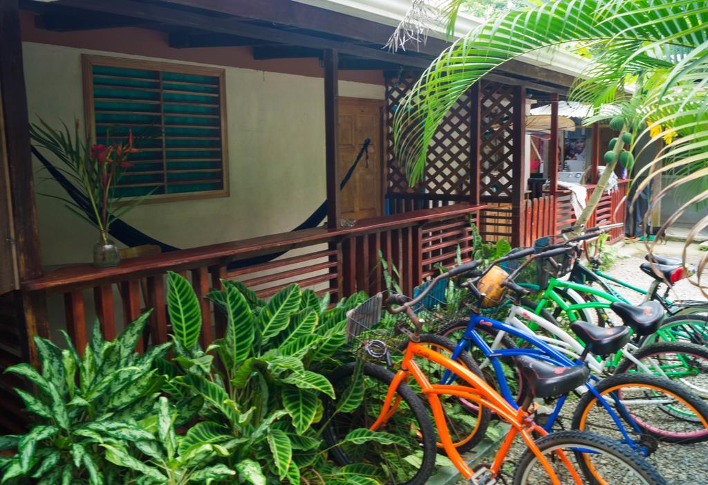 Hostal Cecilia Puerto Viejo de Talamanca المظهر الخارجي الصورة