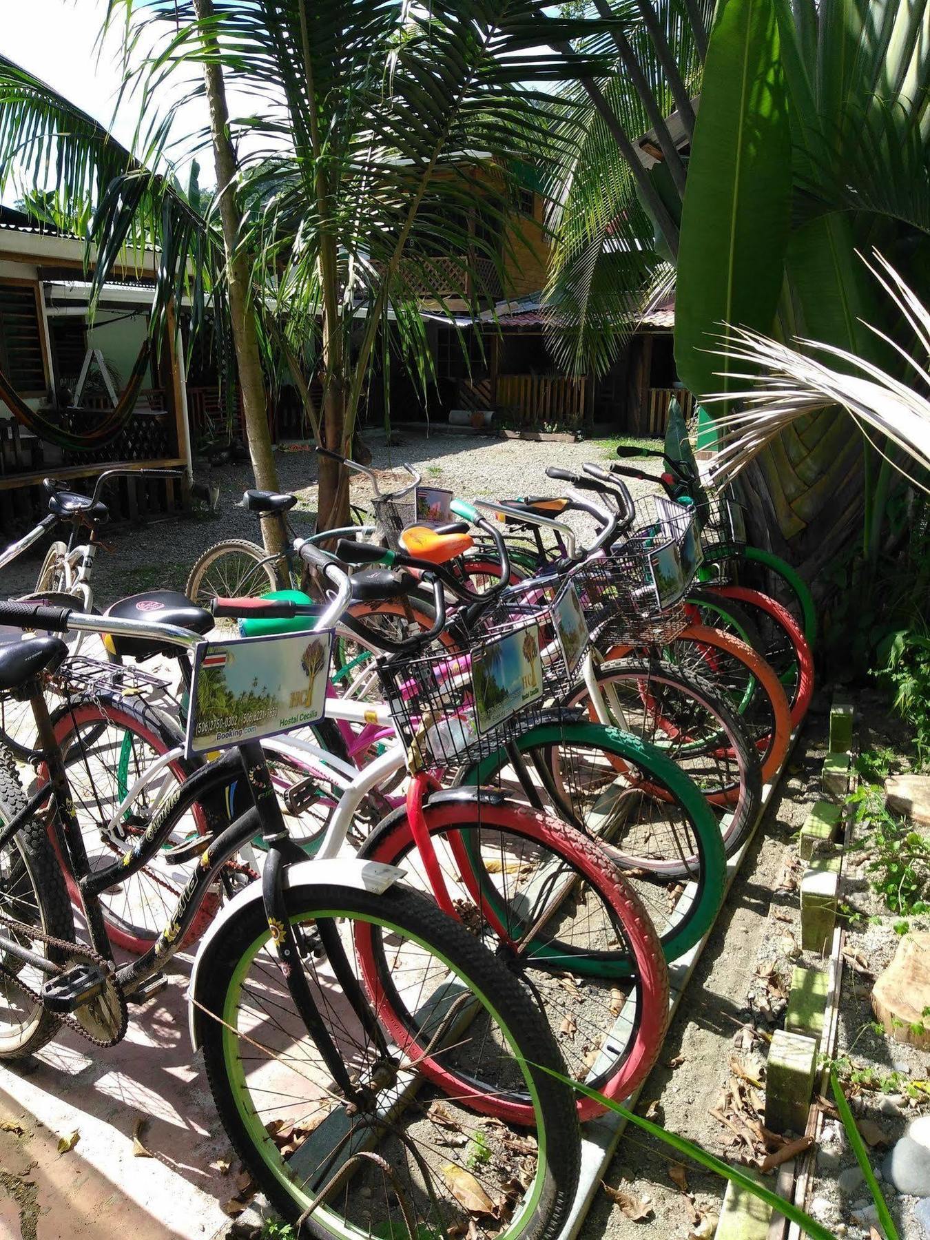 Hostal Cecilia Puerto Viejo de Talamanca المظهر الخارجي الصورة