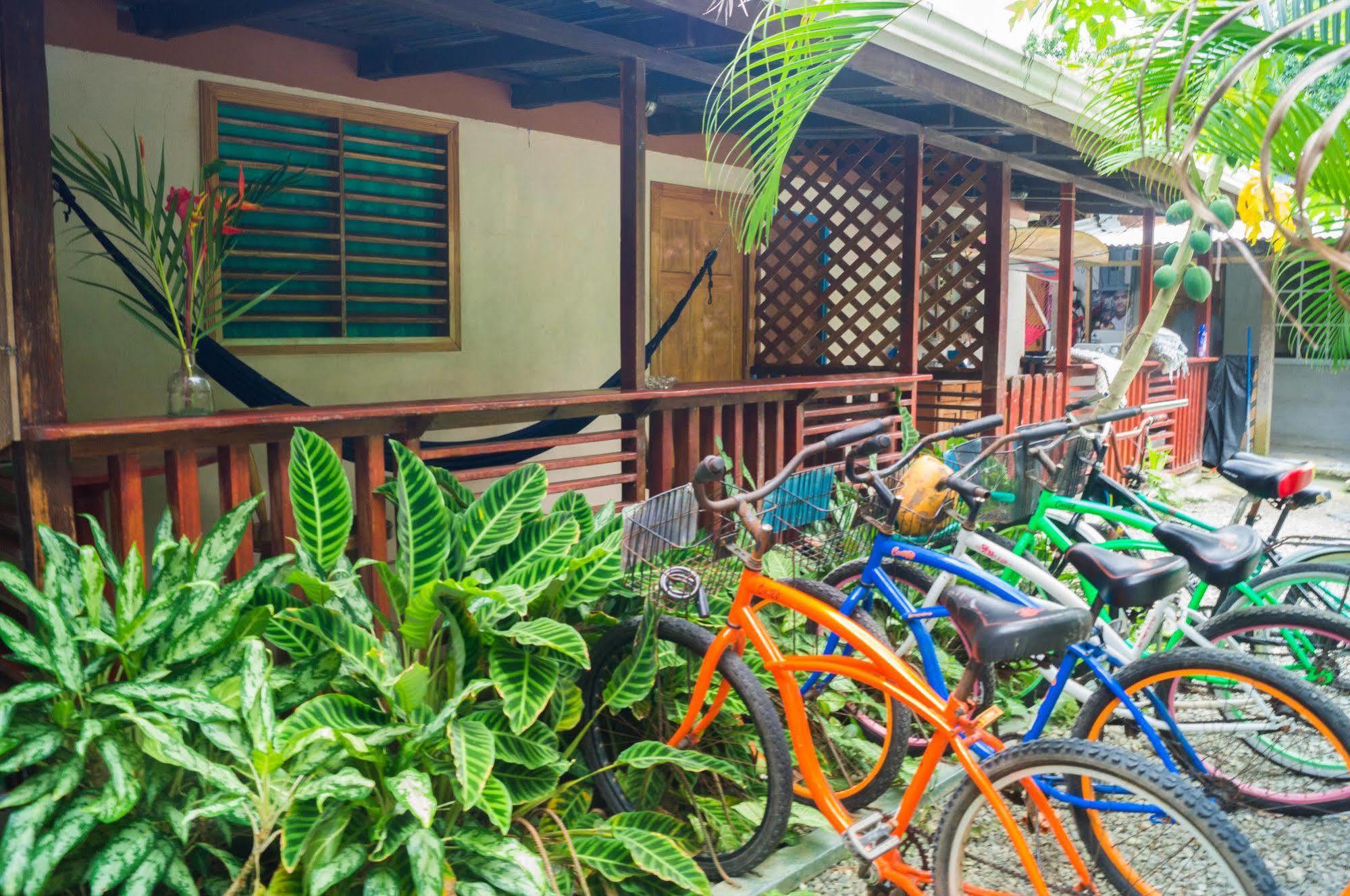 Hostal Cecilia Puerto Viejo de Talamanca المظهر الخارجي الصورة
